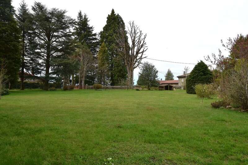 85 m² - maison de caractère - St Genest Malifaux - parc exceptionnel - photo 25