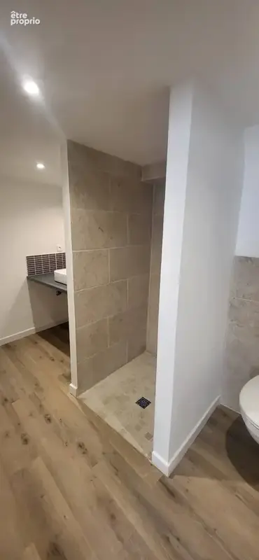 Appartement en duplex entièrement rénové en 2025 - photo 3