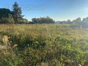 Terrain à LE POIRE-SUR-VIE