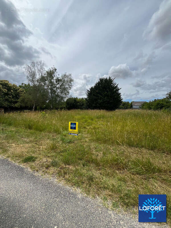 Terrain à bâtir de 906 m² à choussy (41700) ? belle opportunité de construction - photo 8