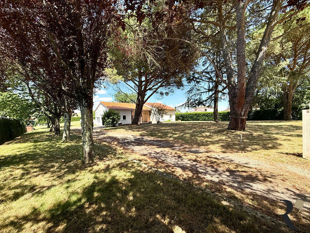 Maison à SAINTE-FOY-D&#039;AIGREFEUILLE