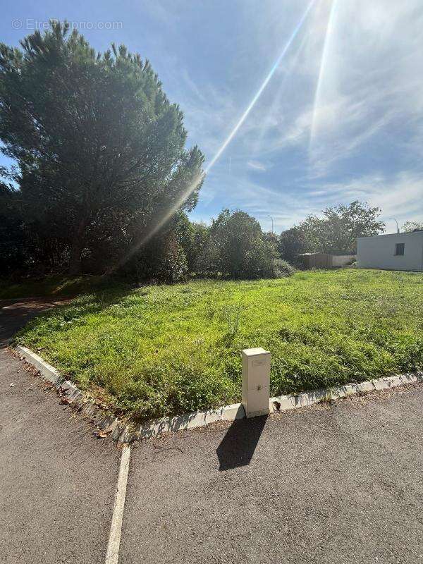 Terrain à TOURNEFEUILLE