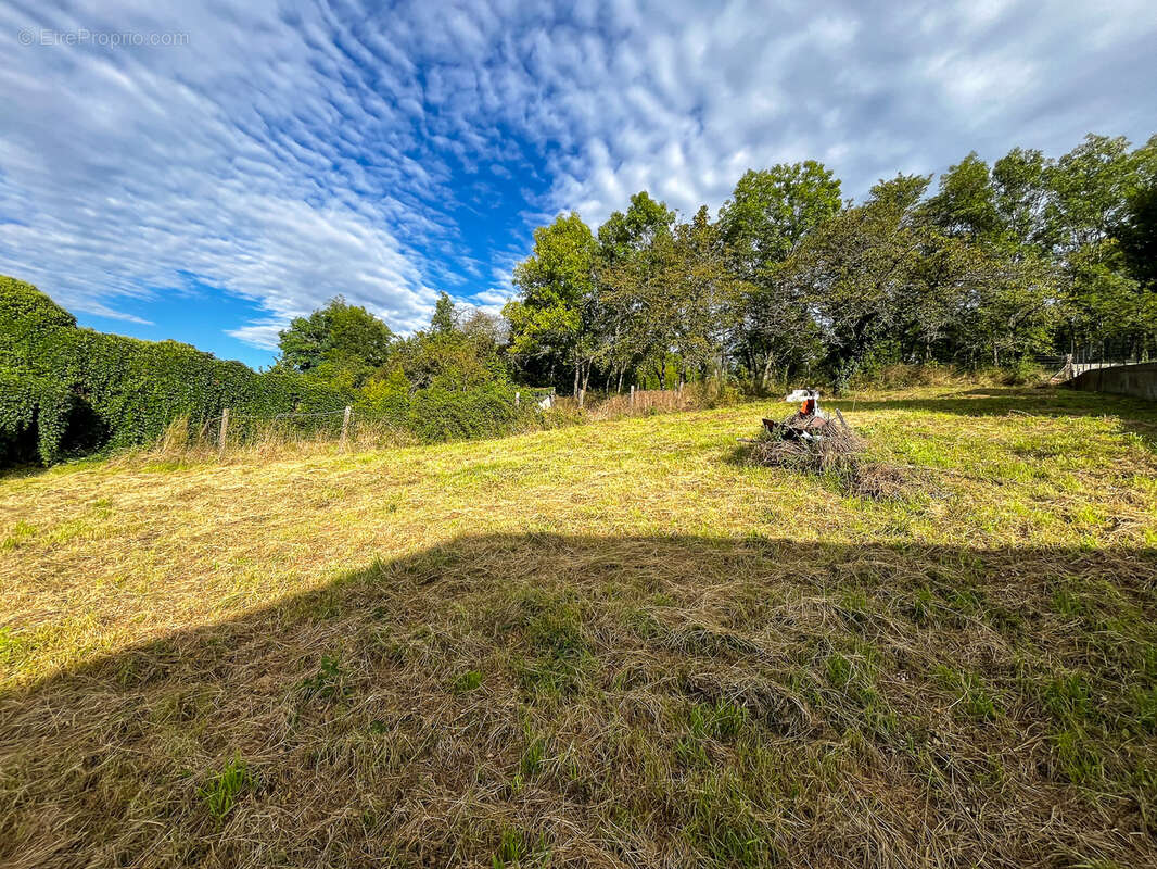 Terrain à ROMAGNAT