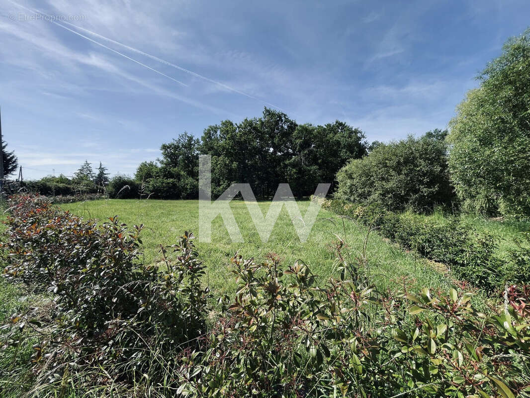 Terrain à FONTAINES-EN-SOLOGNE
