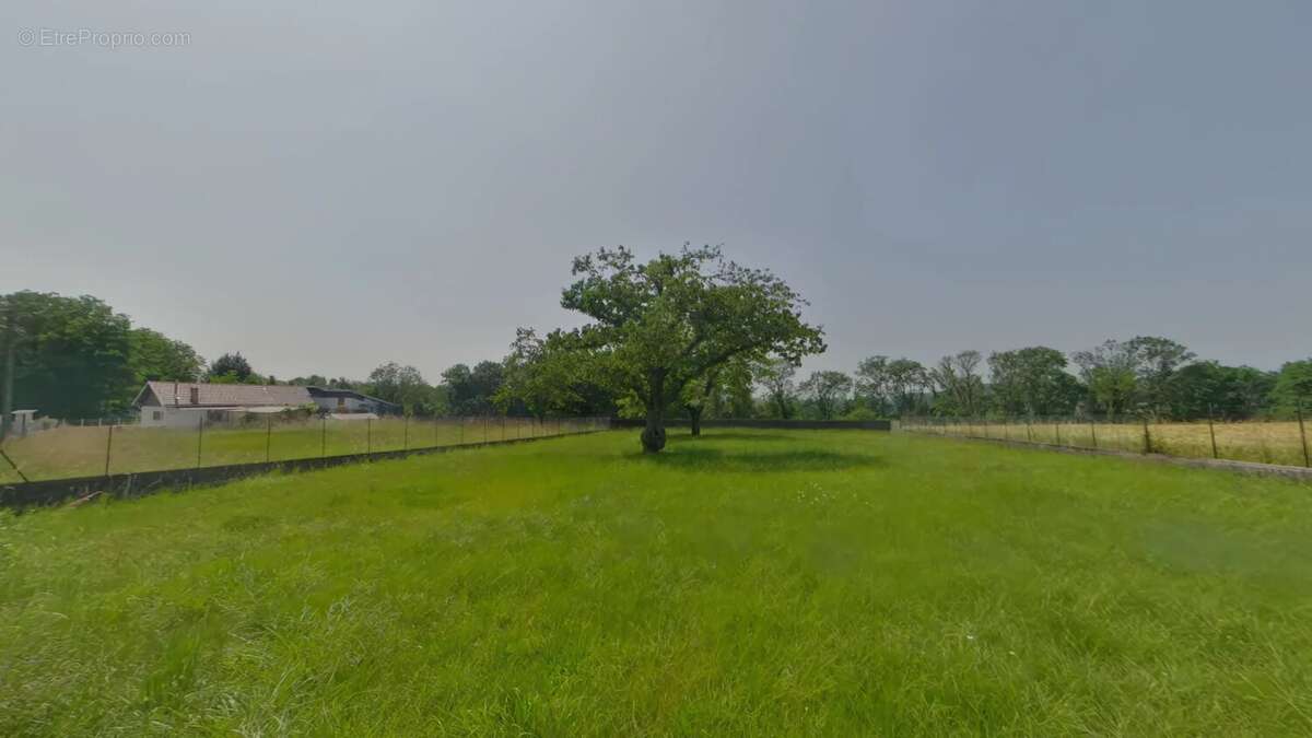 Maison de plain-pied isolée sur un terrain de 2213m² - photo 6