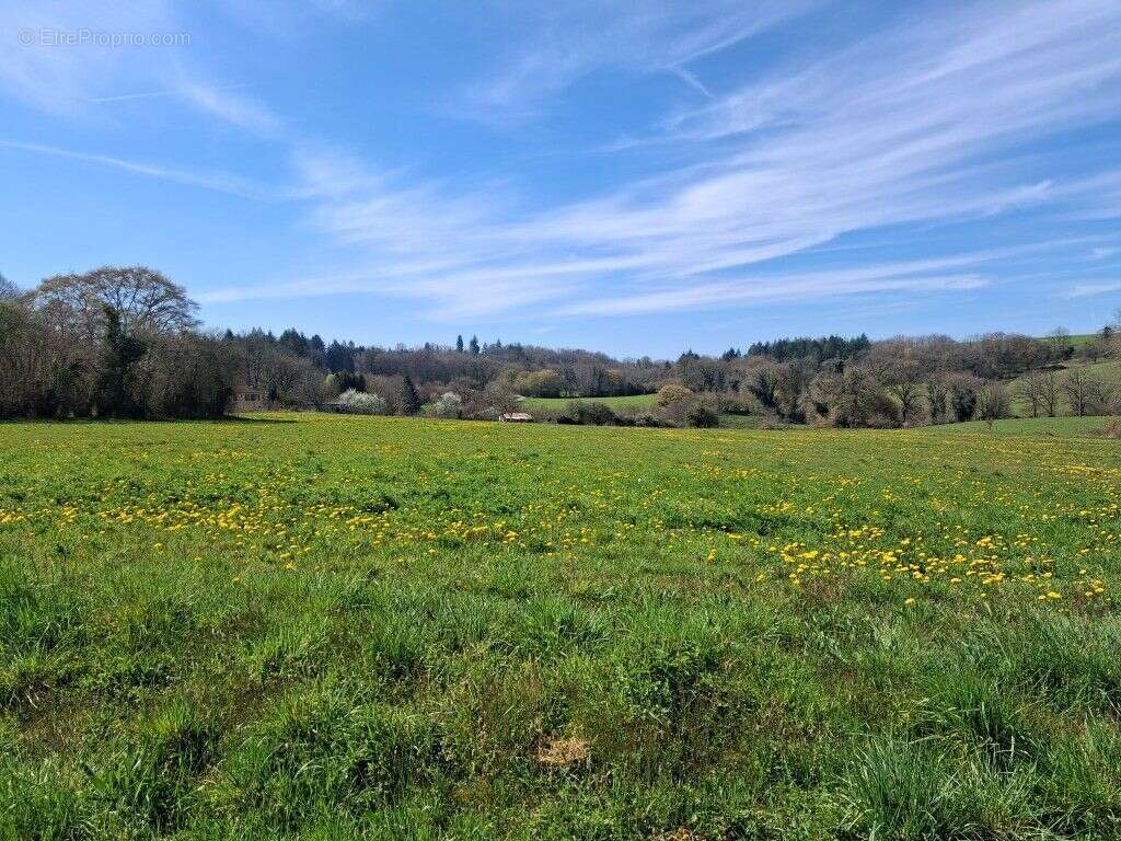 Terrain à NEUVIC-ENTIER
