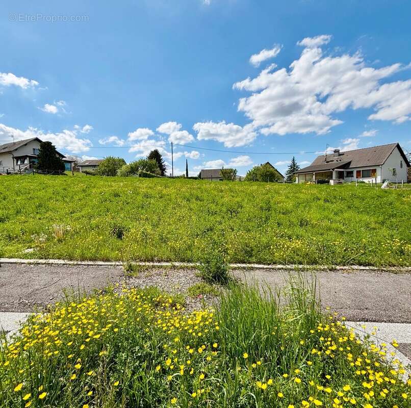 Terrain à DIETWILLER