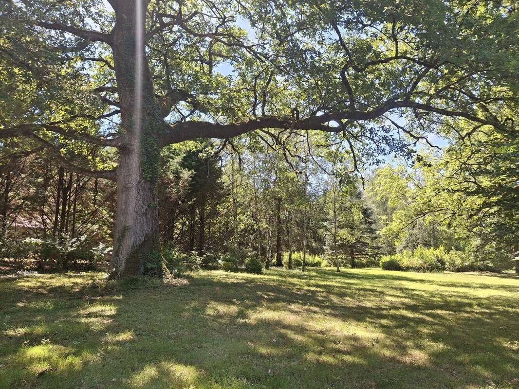 2 maisons de campagne, de nombreuses dépendances et 28 hectares dans un cadre magnifique - photo 17