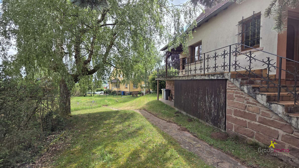 Maison 130 m² à Offwiller  - photo 4