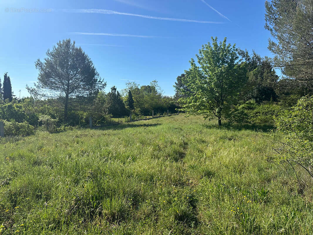 Maison 110m² à saint-maximin-la-sainte-baume - photo 12