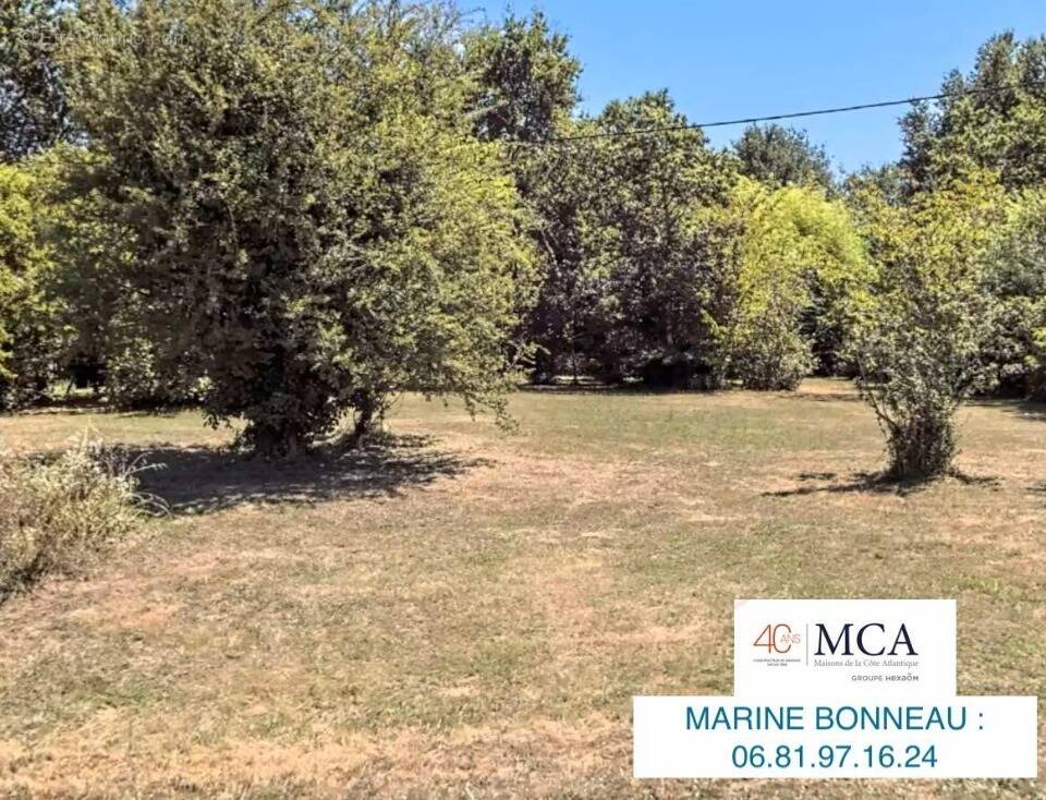 Terrain à COUTRAS