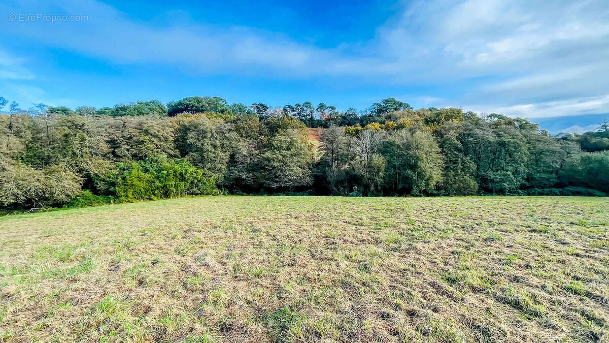 Photo 6 - Terrain à BIARRITZ