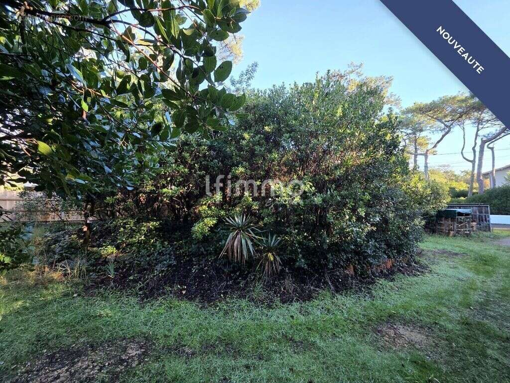 Maison à LEGE-CAP-FERRET