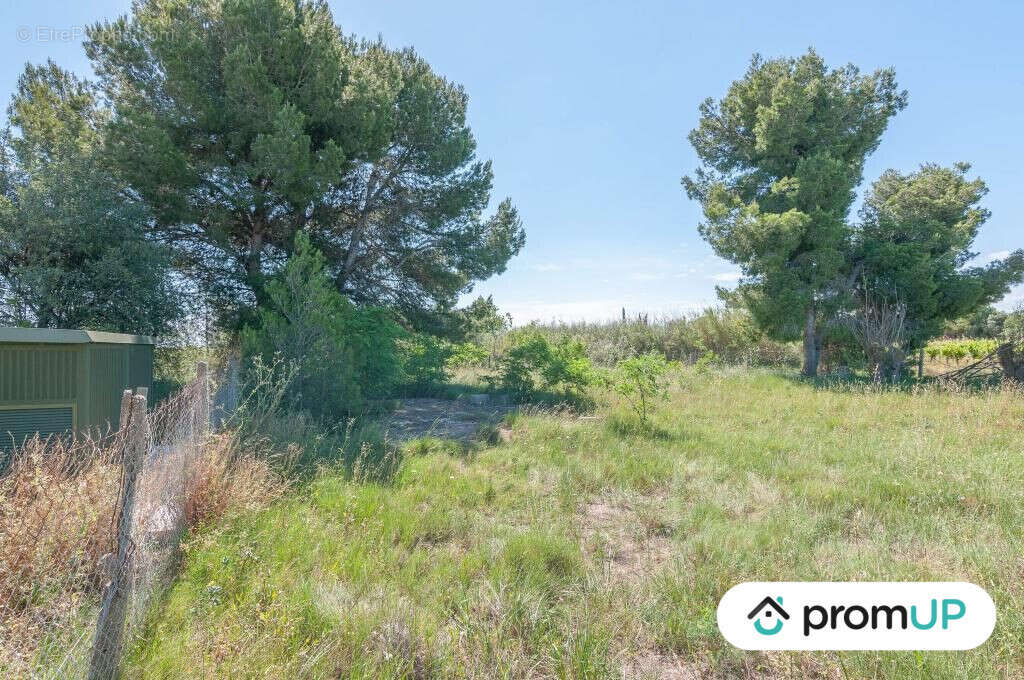 Terrain à MARSEILLAN