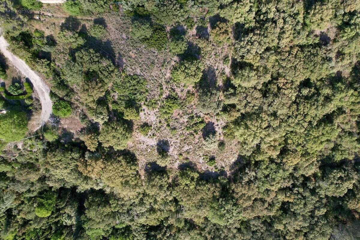 Terrain à UZES