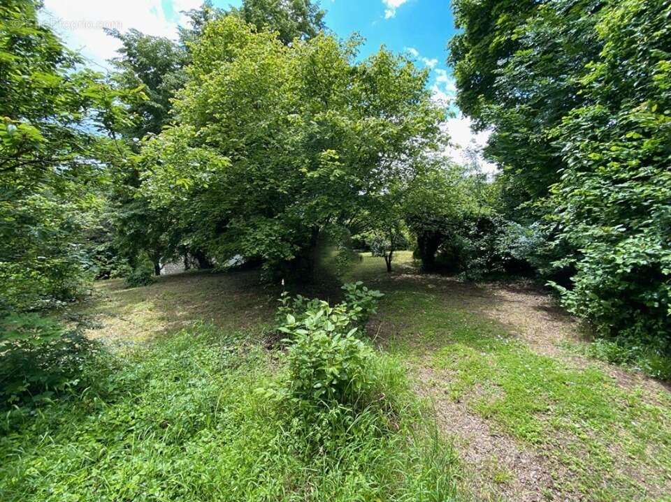 Terrain 953 m² à Cergy  - photo 2