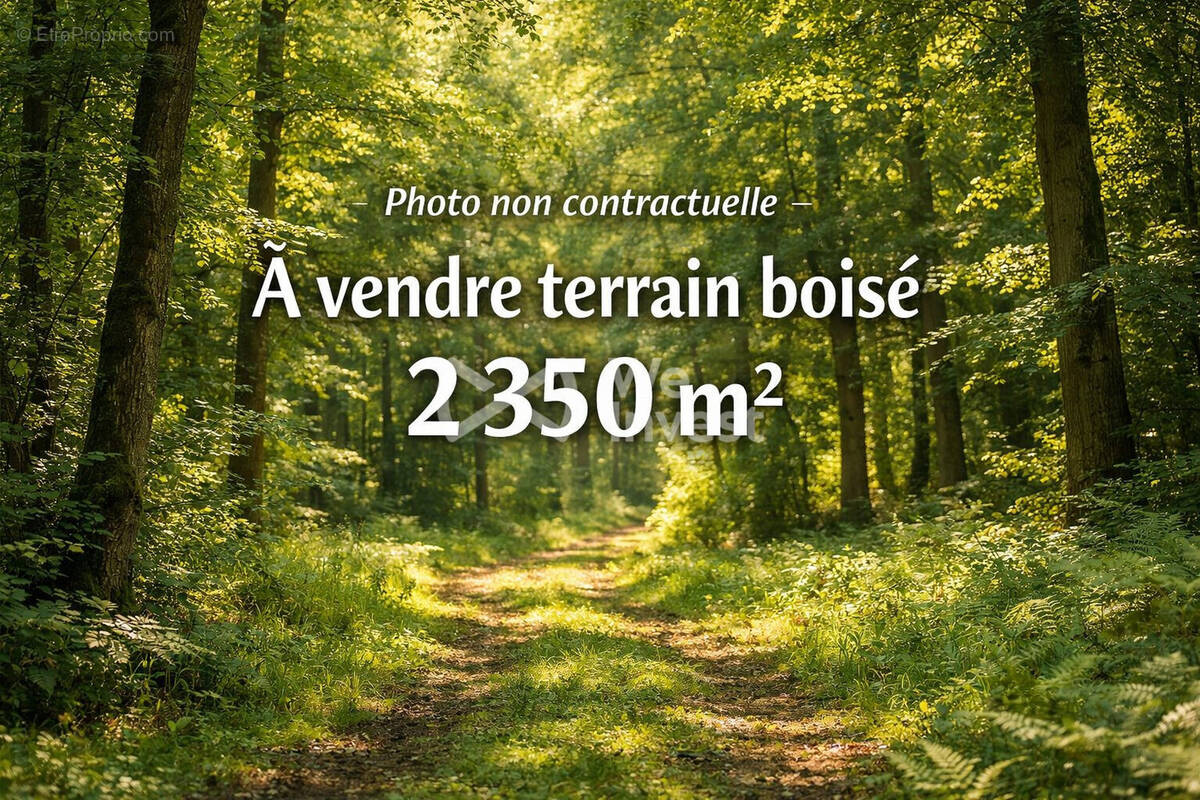 Terrain à LUZY-SAINT-MARTIN