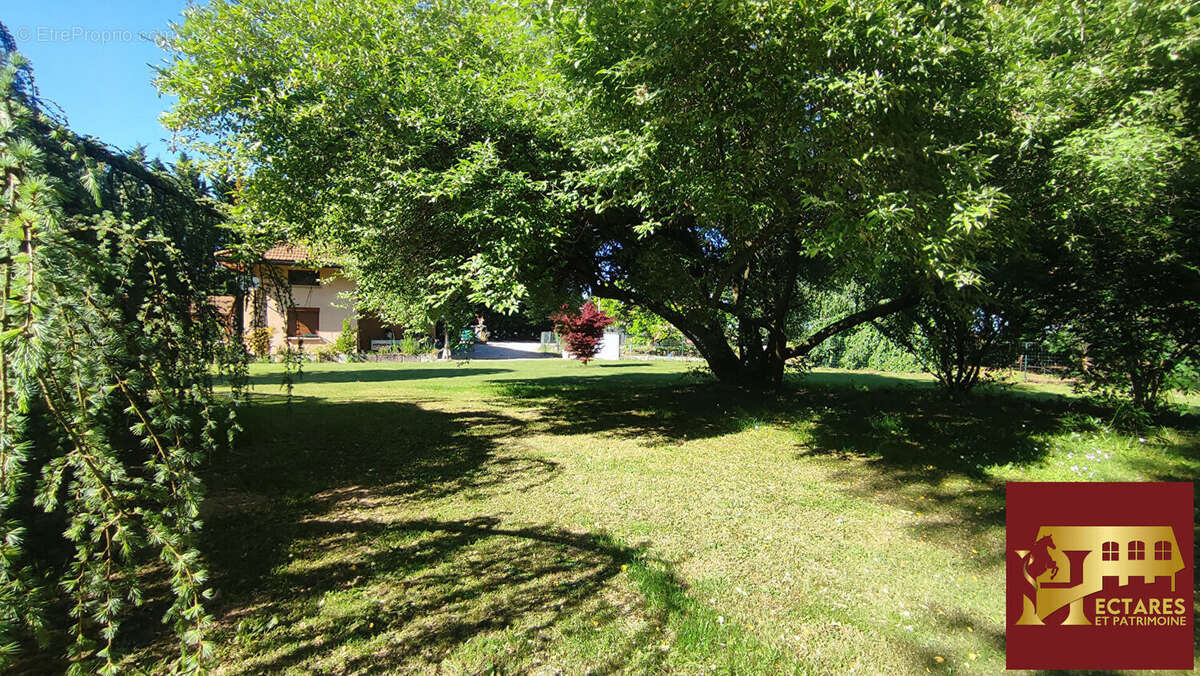 Maison à CURCIAT-DONGALON