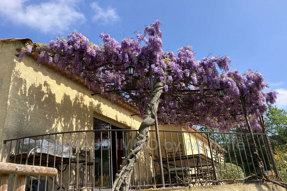 Maison à PLAN-DE-LA-TOUR