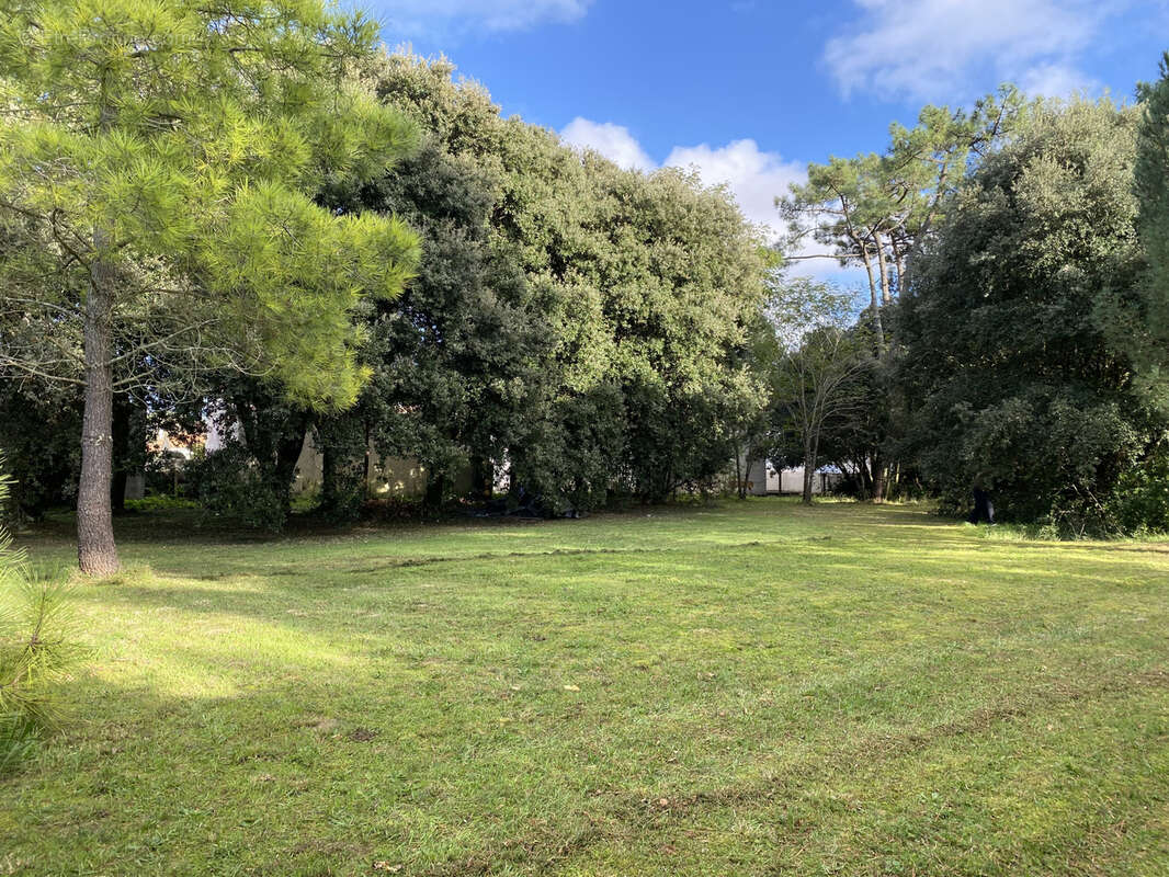 Terrain à SAINT-GEORGES-D&#039;OLERON