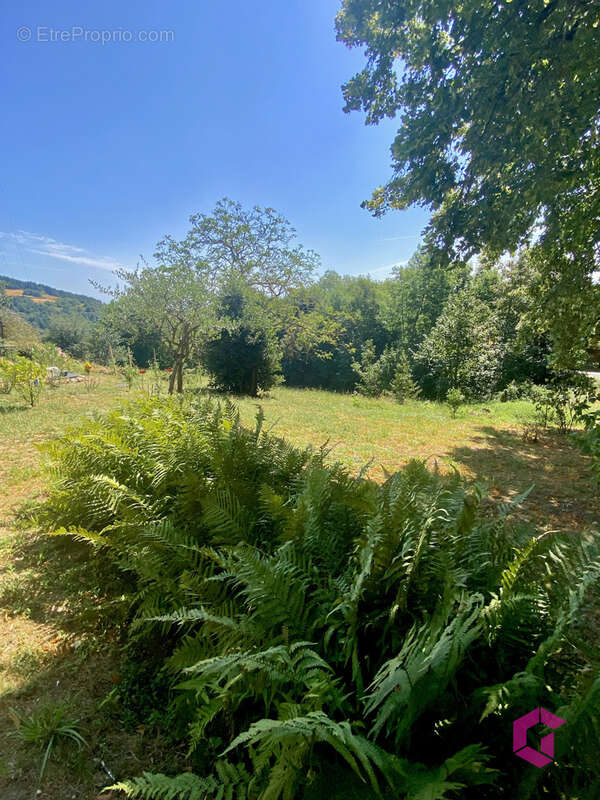 Au coeur du Pilat, propriété d'exception en Pierre rénovée à neuf (2021) - vue panoramique & nature. Coup de c - photo 13