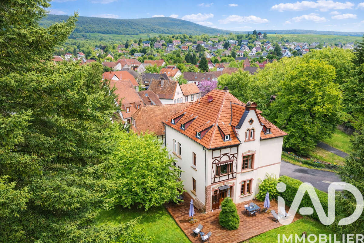 Photo 2 - Commerce à WISSEMBOURG