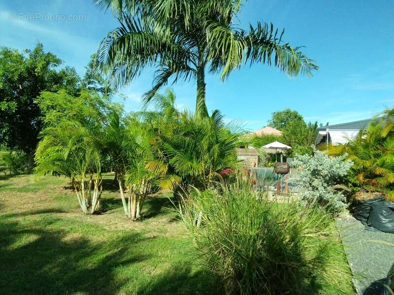 Maison à SAINT-FRANCOIS