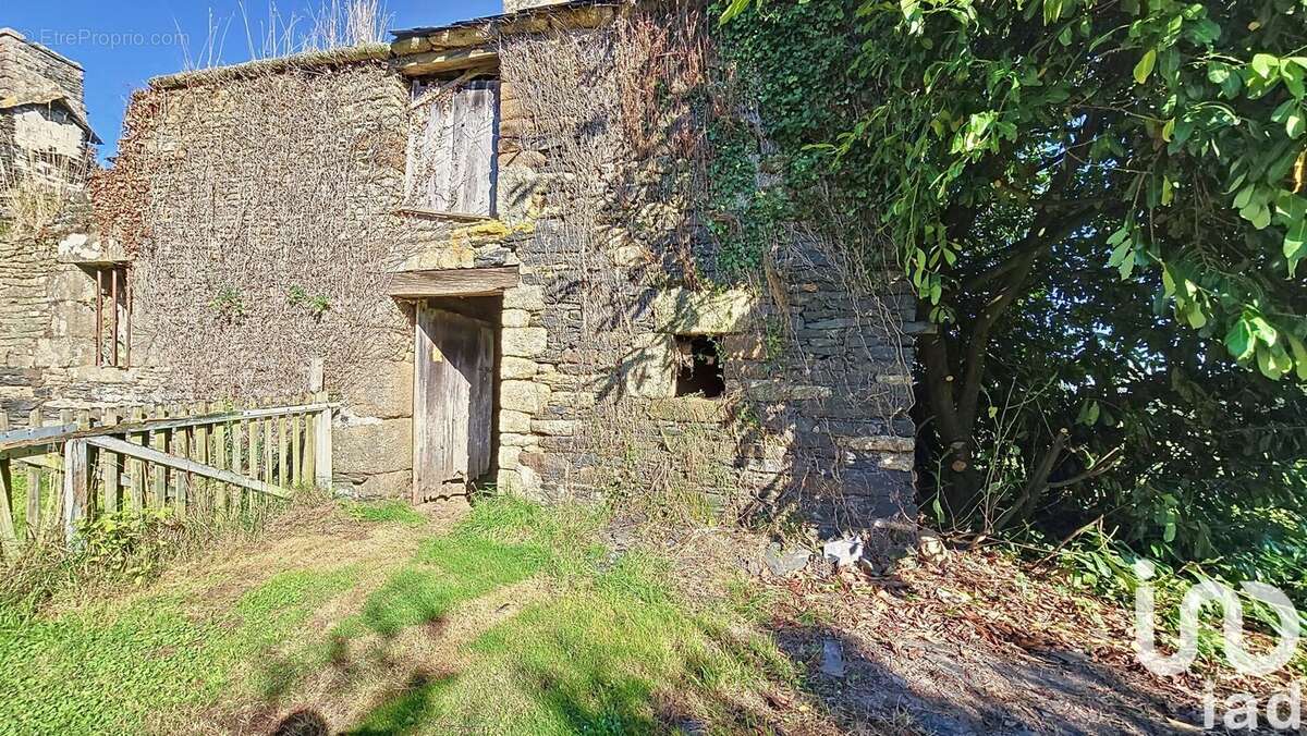 Photo 7 - Maison à ALLAIRE