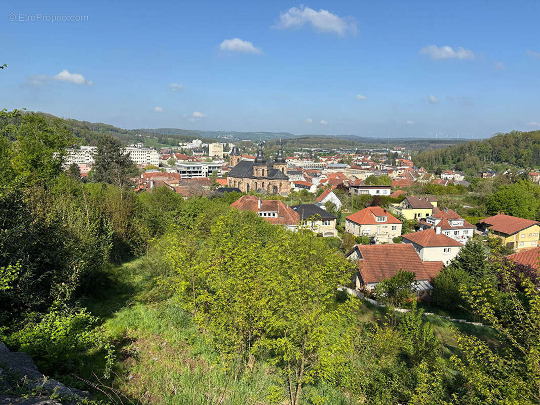 Terrain Saint Avold 3801 m2 - photo 12