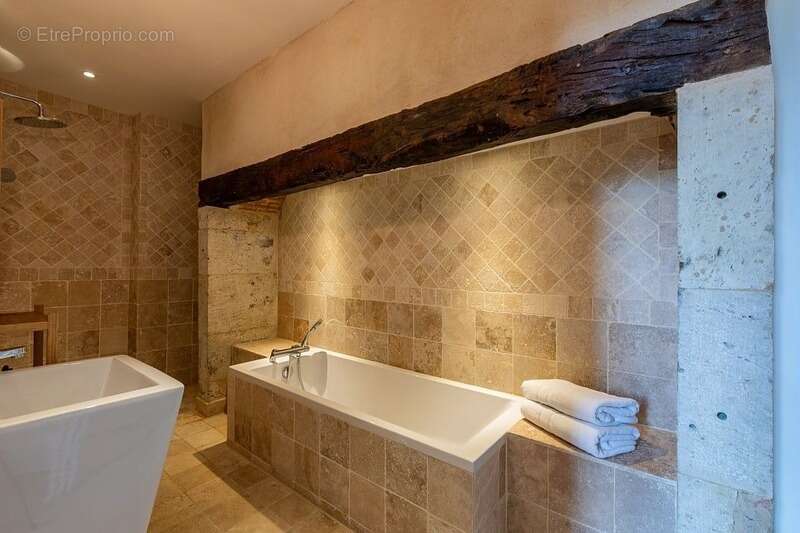 Dpt  (32) : ELEGANT CHATEAU XIX, sans travaux, bases médievales avec douves, piscine, sur 9100m2 jardin clos - photo 25