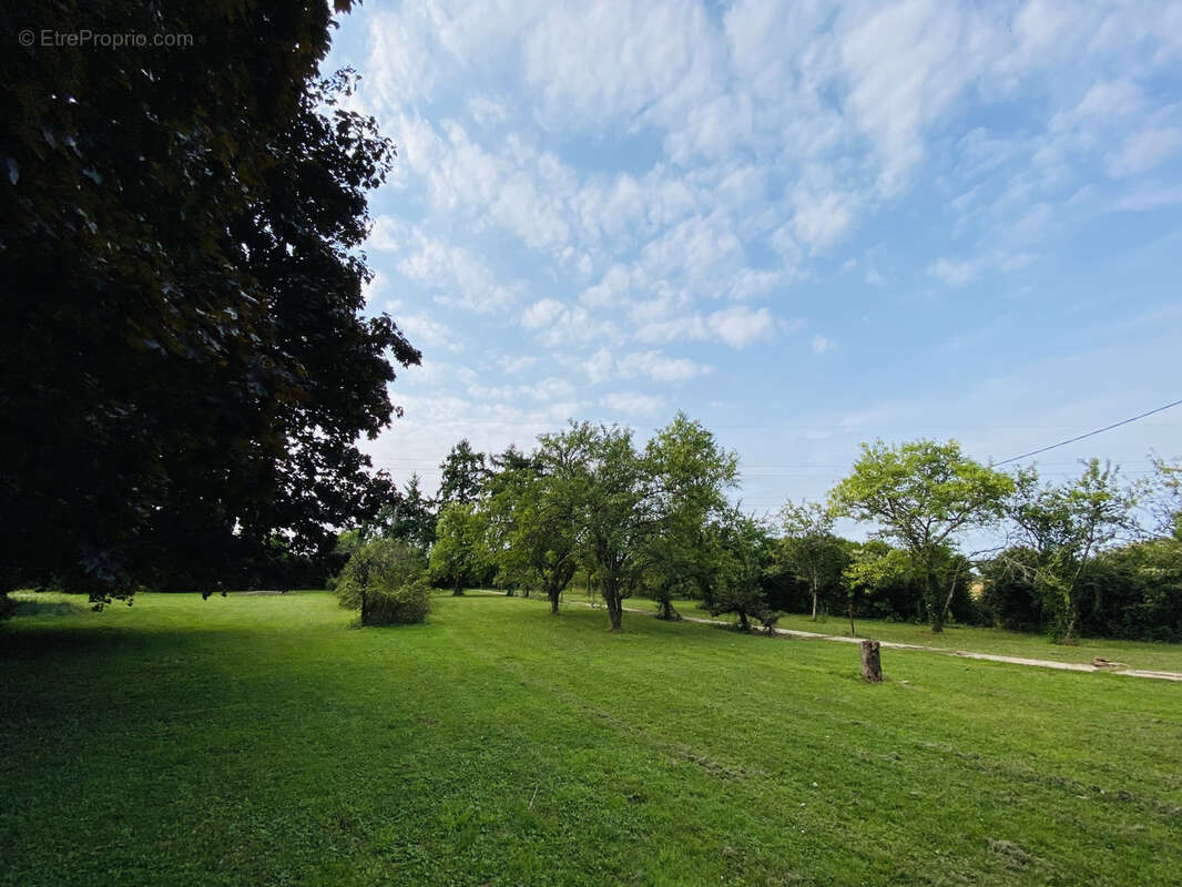 Terrain à VILLEBLEVIN