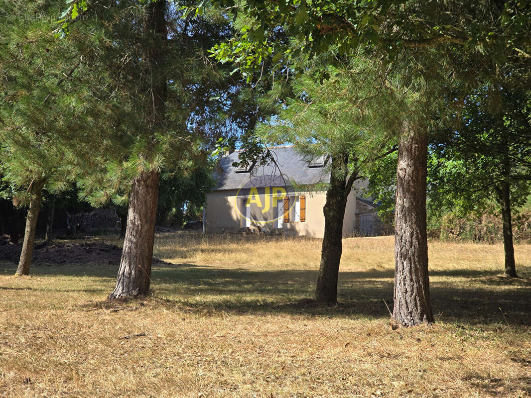 Ensemble GUEMENE-PENFAO Maison, dépendances sur  1 Hectare 4 de terrain - photo 3
