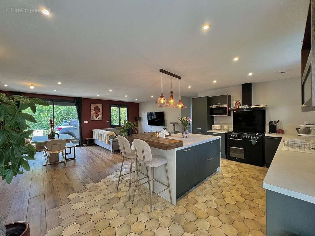 Maison à TIGNIEU-JAMEYZIEU