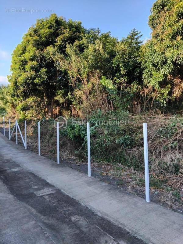 Terrain à ENTRE-DEUX