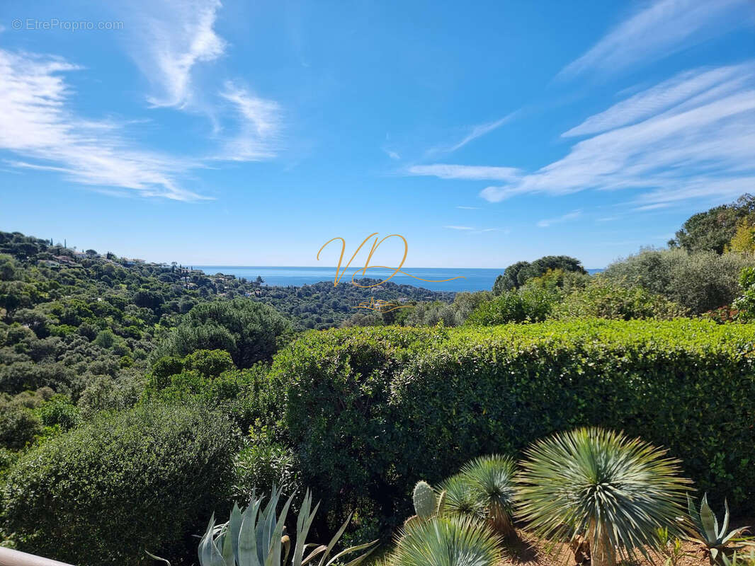 La croix valmer villa haut de gamme entierement renovee vue mer - photo 3