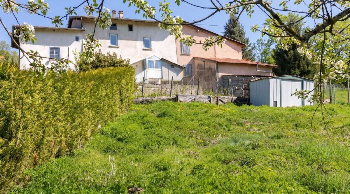 Charme et Potentiel au Coeur de la Nature à Violay - photo 4