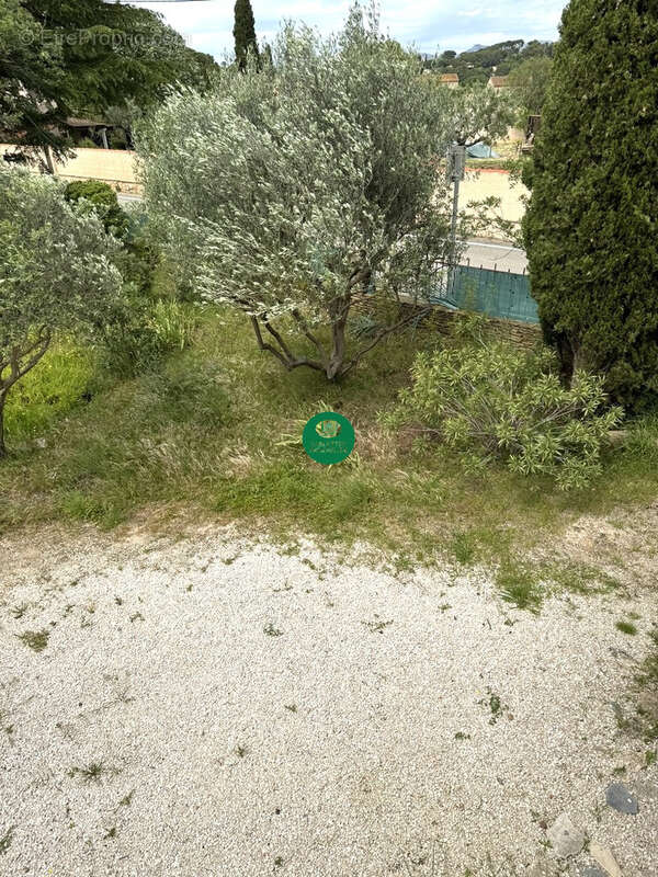 Fabregas l'oide - photo 13