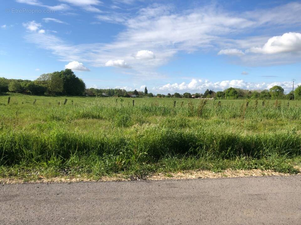 Terrain à PORT-D'ENVAUX