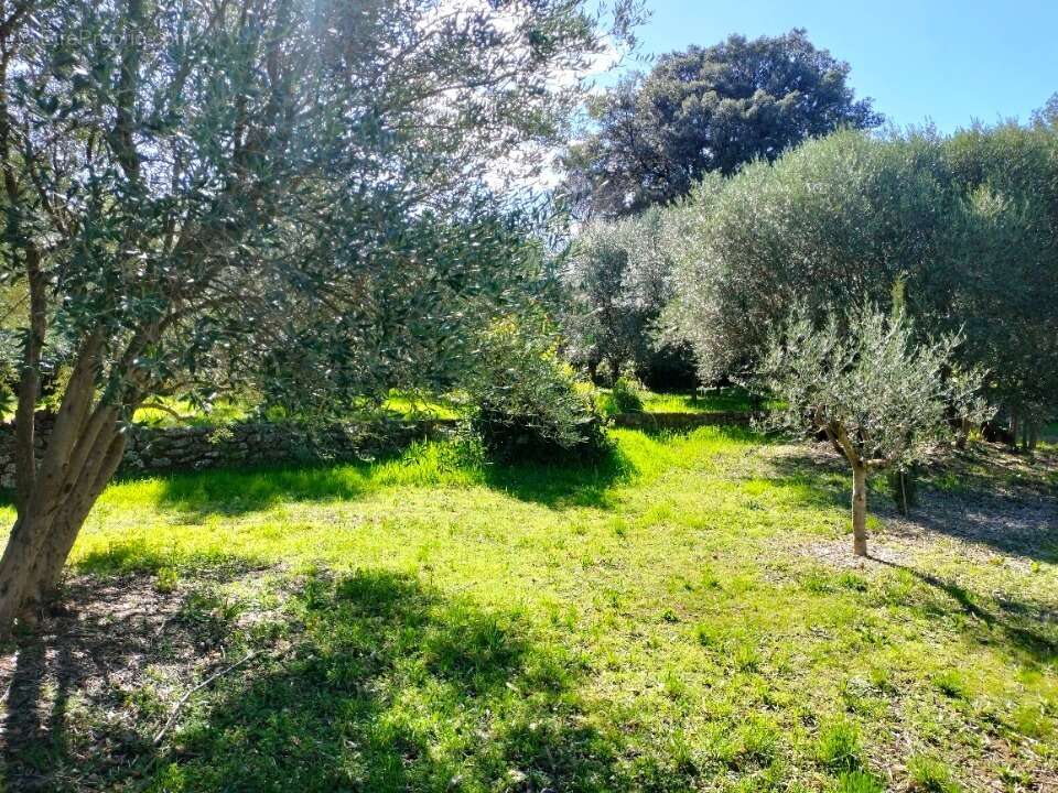 Terrain à DRAGUIGNAN