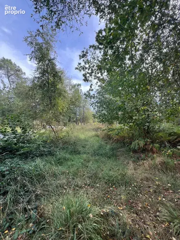 À vendre – argol – finistère – presqu’île de crozon-exceptionnel terrain de loisirs de 40 000 m² - photo 33