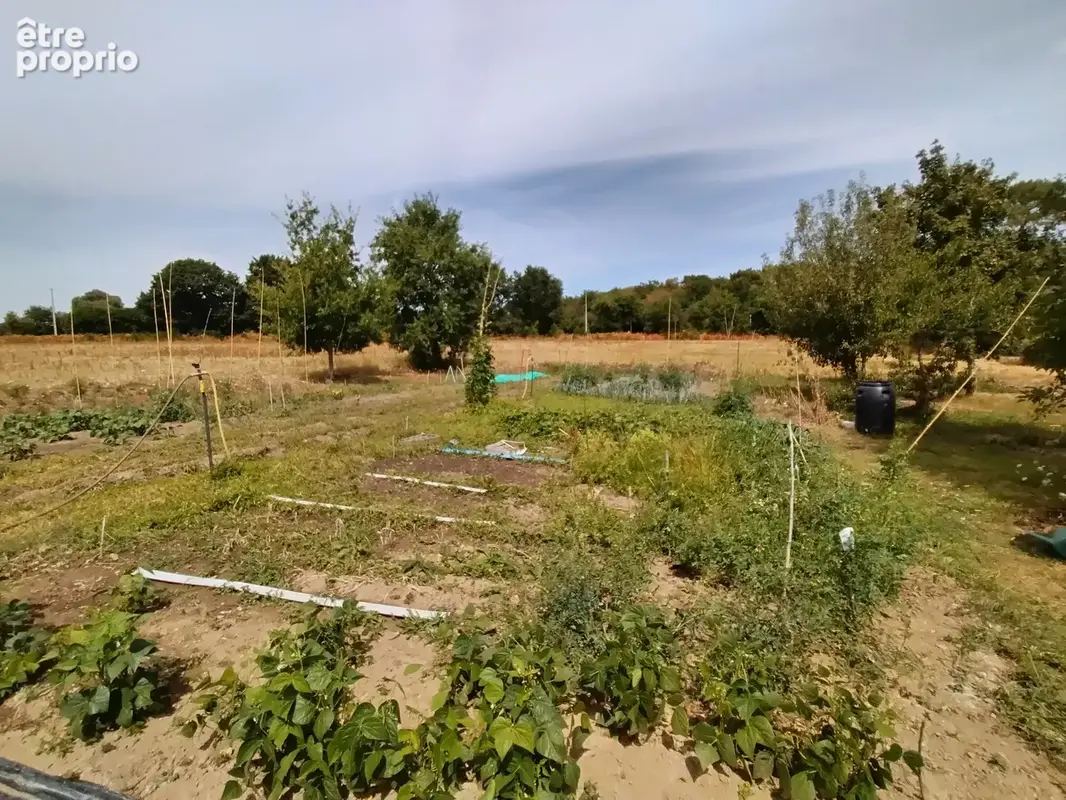 Arradon / rare sur le marché - photo 5