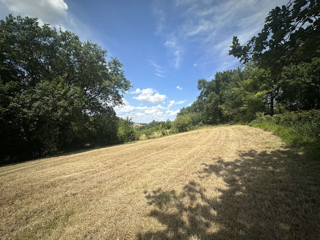 Terrain à bâtir à Belmont-Bretenoux - photo 2