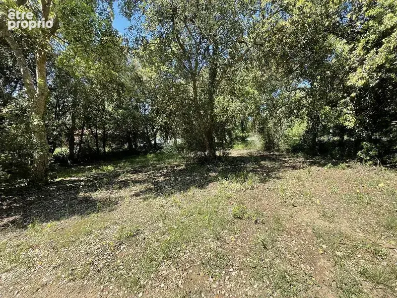 Terrain 1 932 m² à vendre à Les Cluses (66480) - photo 5
