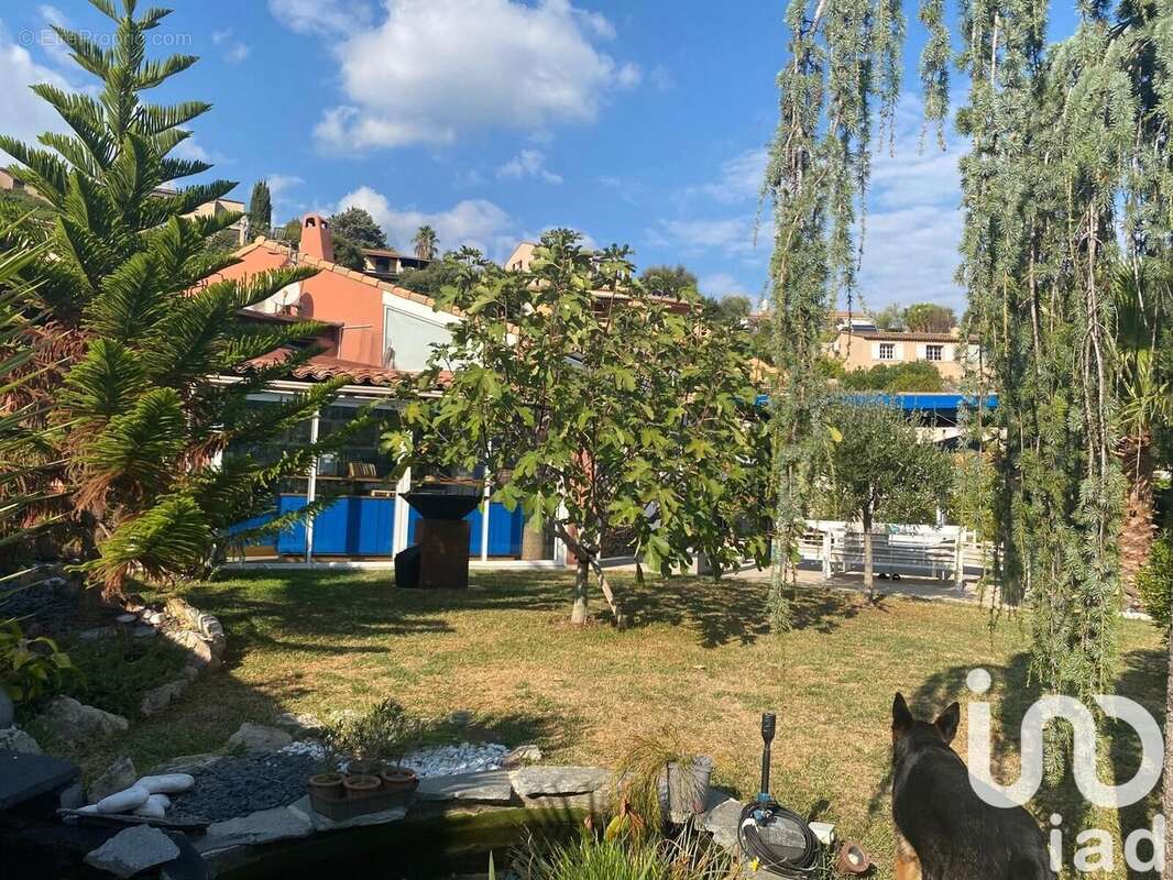 Photo 8 - Maison à MANDELIEU-LA-NAPOULE