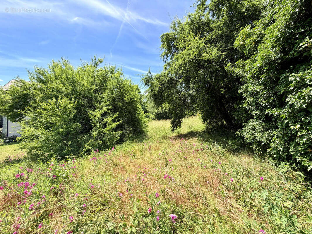 EXCLUSIVITE St Julien-en-Genevois Parcelle à bâtir de 857 m² au centre du hameau de Thairy... - photo 4