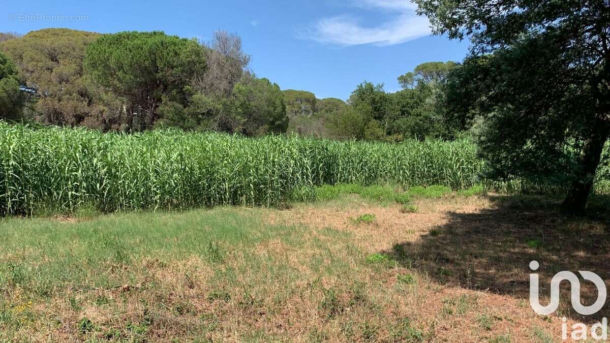 Photo 2 - Terrain à FREJUS