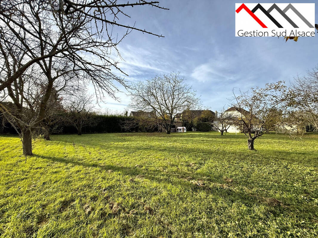 Terrain à WITTENHEIM