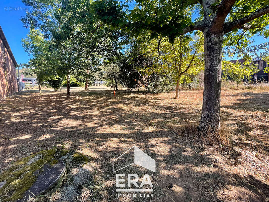 Terrain à LESCURE-D&#039;ALBIGEOIS