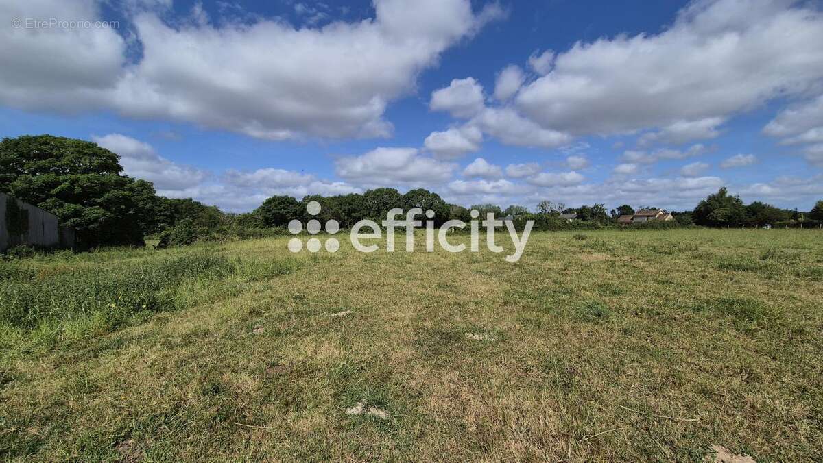 Maison ancienne - photo 24