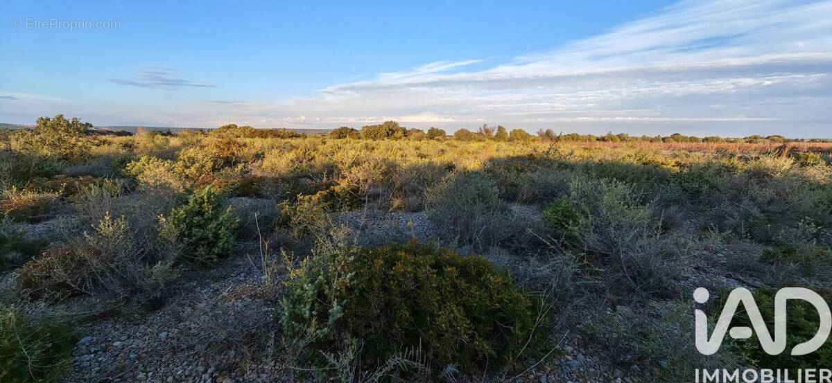 Photo 1 - Terrain à LA PALME